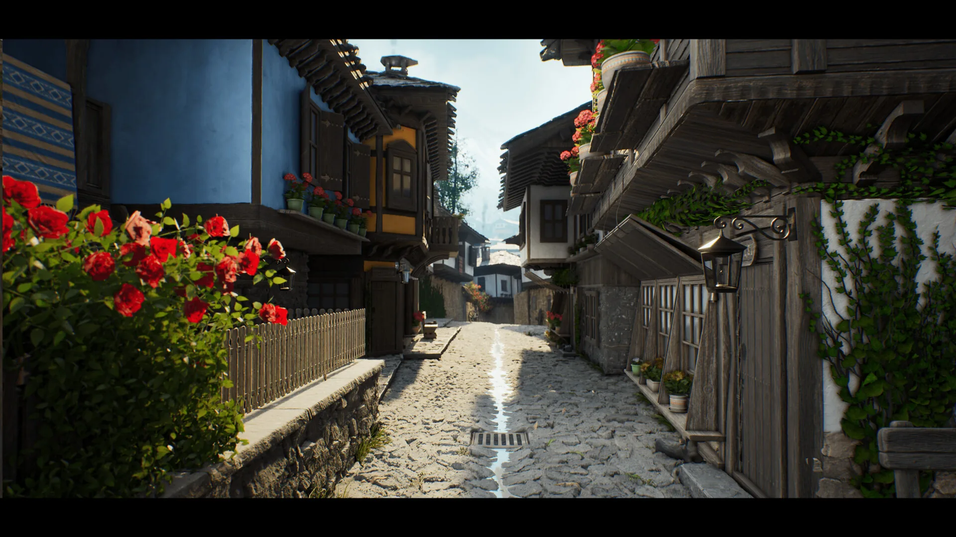 开满红花的村庄一角 村庄一角,红色花丛点缀在民居与石板路之间