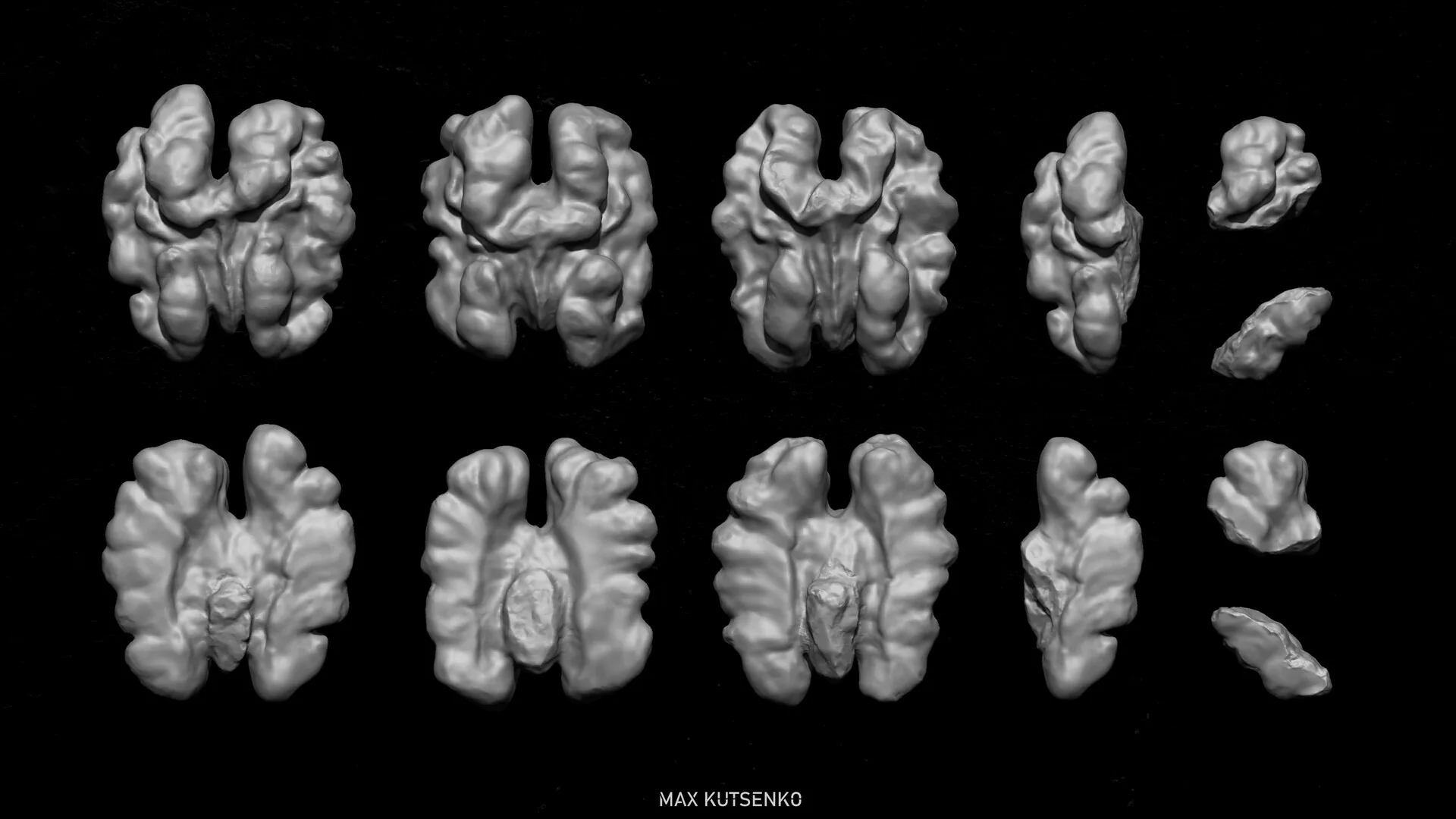 三种核桃基础形状的高模 在 Zbrush 中雕刻出的三种核桃基础形状高模,多角度对照